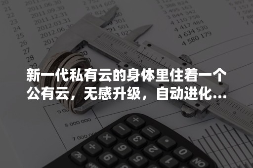 新一代私有云的身体里住着一个公有云，无感升级，自动进化……