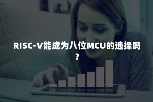 RISC-V能成为八位MCU的选择吗？