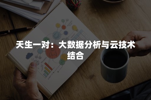 天生一对：大数据分析与云技术结合