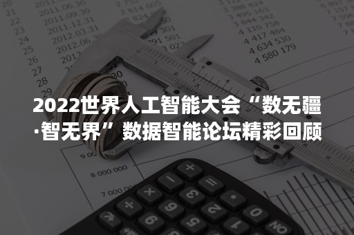 2022世界人工智能大会“数无疆·智无界”数据智能论坛精彩回顾