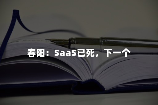 春阳：SaaS已死，下一个