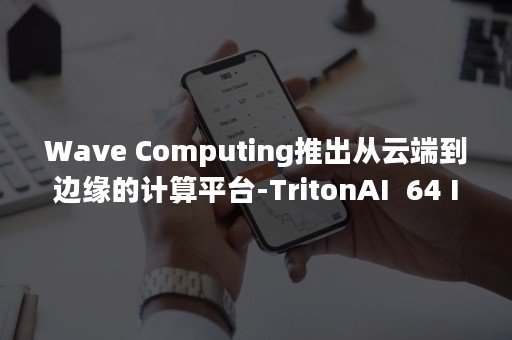 Wave Computing推出从云端到边缘的计算平台-TritonAI  64 IP平台（waves）