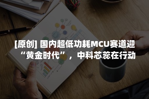 [原创] 国内超低功耗MCU赛道迎“黄金时代”，中科芯蕊在行动