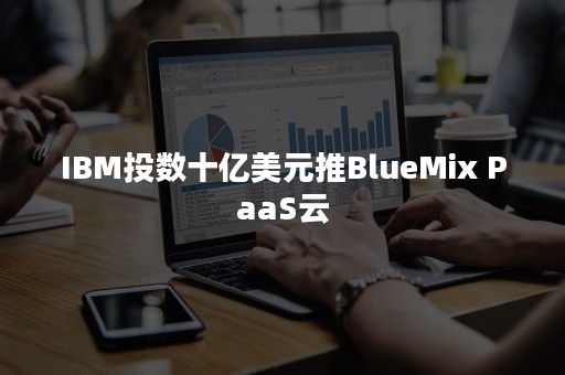 IBM投数十亿美元推BlueMix PaaS云