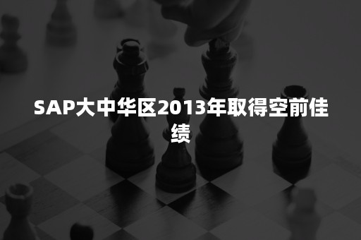 SAP大中华区2013年取得空前佳绩