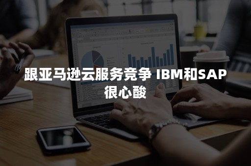 跟亚马逊云服务竞争 IBM和SAP很心酸