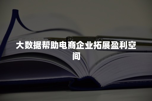 大数据帮助电商企业拓展盈利空间