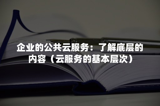 企业的公共云服务：了解底层的内容（云服务的基本层次）