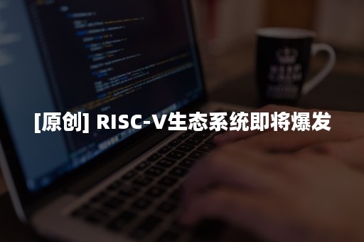 [原创] RISC-V生态系统即将爆发