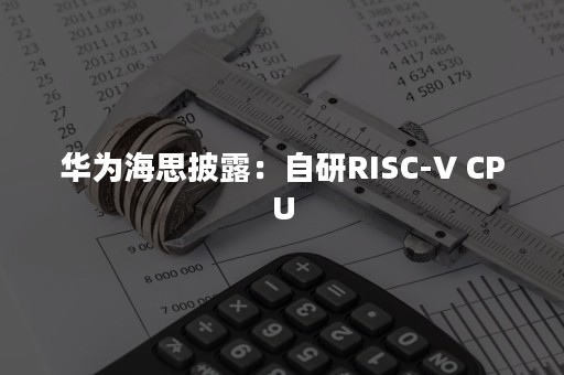 华为海思披露：自研RISC-V CPU