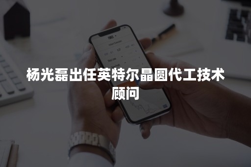 杨光磊出任英特尔晶圆代工技术顾问