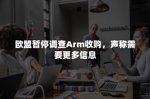 欧盟暂停调查Arm收购，声称需要更多信息