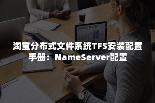 淘宝分布式文件系统TFS安装配置手册：NameServer配置