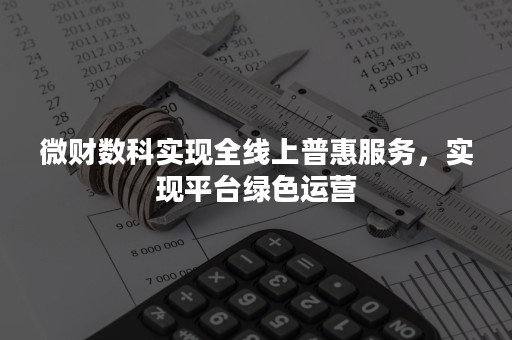 微财数科实现全线上普惠服务，实现平台绿色运营