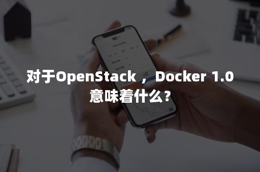 对于OpenStack ，Docker 1.0意味着什么？