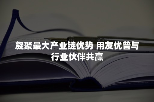 凝聚最大产业链优势 用友优普与行业伙伴共赢