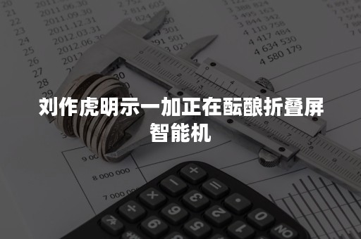 刘作虎明示一加正在酝酿折叠屏智能机