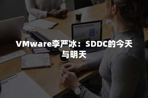 VMware李严冰：SDDC的今天与明天