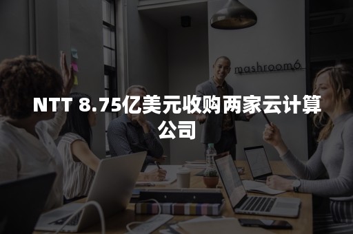 NTT 8.75亿美元收购两家云计算公司