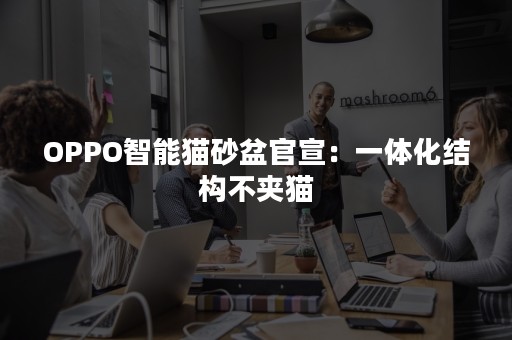 OPPO智能猫砂盆官宣：一体化结构不夹猫