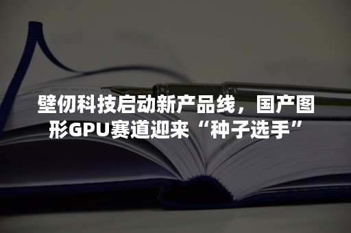 壁仞科技启动新产品线，国产图形GPU赛道迎来“种子选手”