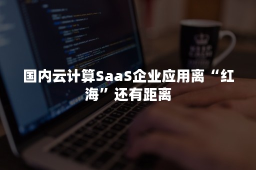 国内云计算SaaS企业应用离“红海”还有距离