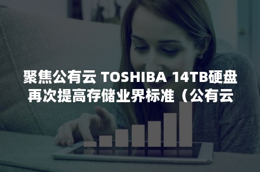 聚焦公有云 TOSHIBA 14TB硬盘再次提高存储业界标准（公有云发展）