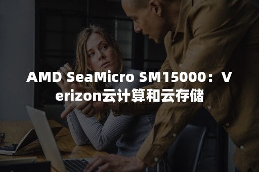 AMD SeaMicro SM15000：Verizon云计算和云存储