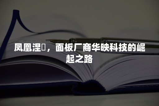 凤凰涅槃，面板厂商华映科技的崛起之路