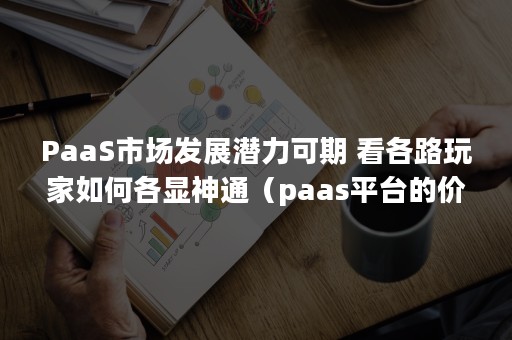 PaaS市场发展潜力可期 看各路玩家如何各显神通（paas平台的价值）