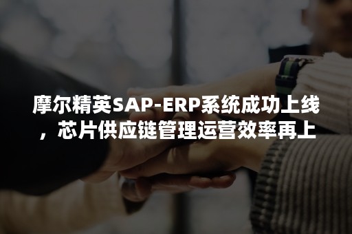 摩尔精英SAP-ERP系统成功上线，芯片供应链管理运营效率再上新台阶