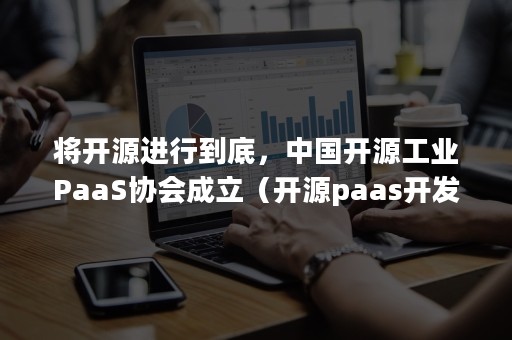 将开源进行到底，中国开源工业PaaS协会成立（开源paas开发平台）