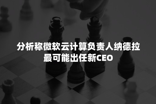 分析称微软云计算负责人纳德拉最可能出任新CEO