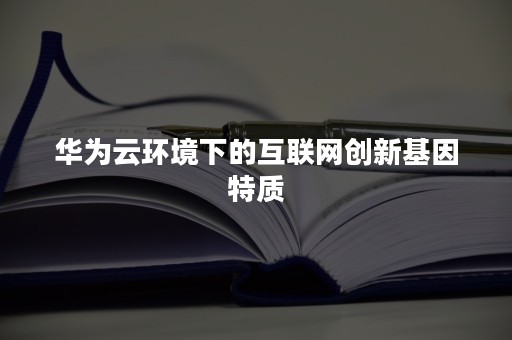 华为云环境下的互联网创新基因特质