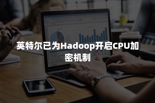 英特尔已为Hadoop开启CPU加密机制