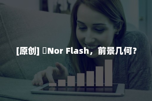 [原创] ​Nor Flash，前景几何？