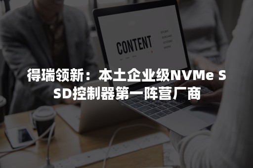 得瑞领新：本土企业级NVMe SSD控制器第一阵营厂商