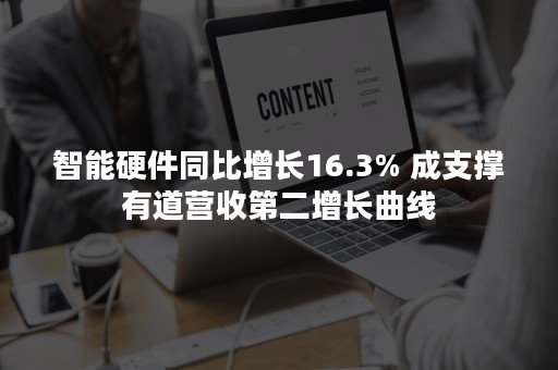 智能硬件同比增长16.3% 成支撑有道营收第二增长曲线