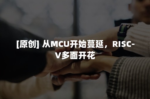 [原创] 从MCU开始蔓延，RISC-V多面开花