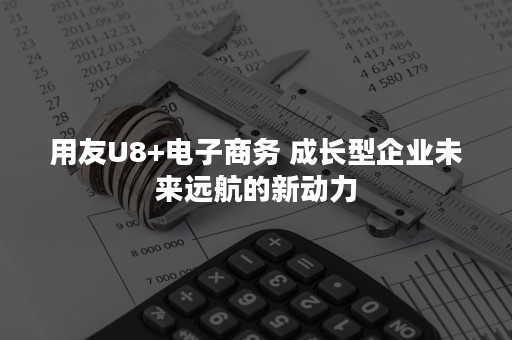 用友U8+电子商务 成长型企业未来远航的新动力