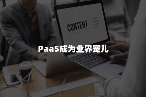 PaaS成为业界宠儿