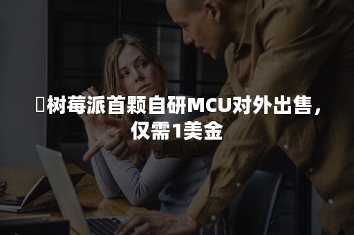 ​树莓派首颗自研MCU对外出售，仅需1美金