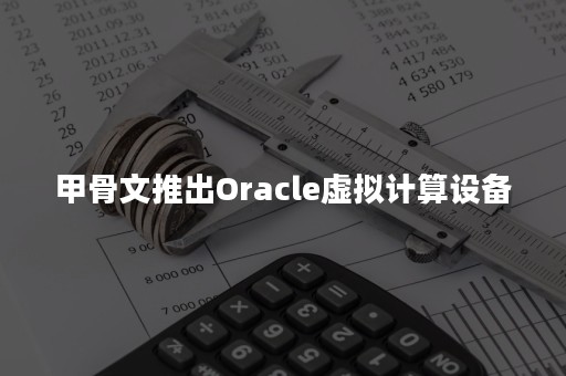 甲骨文推出Oracle虚拟计算设备