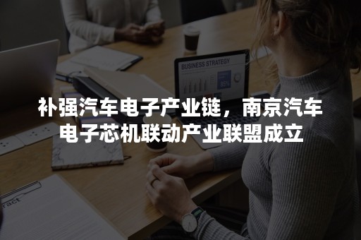 补强汽车电子产业链，南京汽车电子芯机联动产业联盟成立