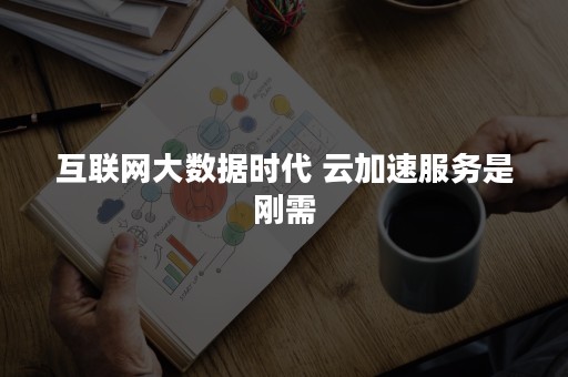 互联网大数据时代 云加速服务是刚需