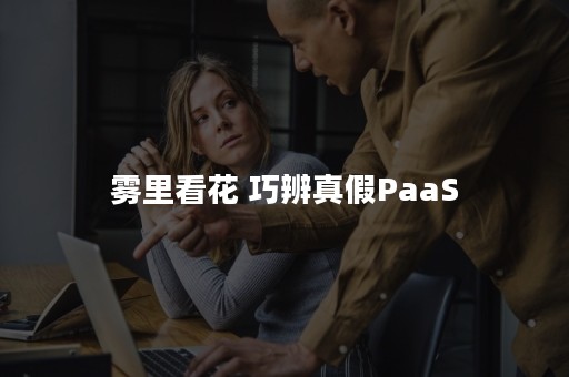 雾里看花 巧辨真假PaaS