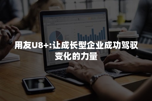 用友U8+:让成长型企业成功驾驭变化的力量