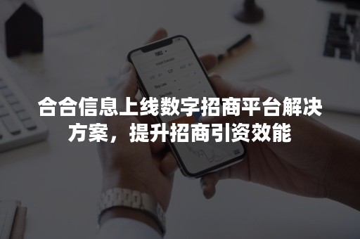 合合信息上线数字招商平台解决方案，提升招商引资效能