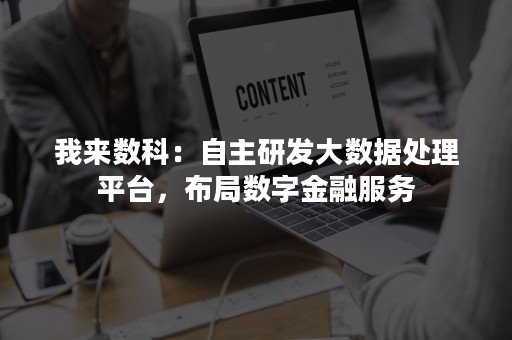 我来数科：自主研发大数据处理平台，布局数字金融服务