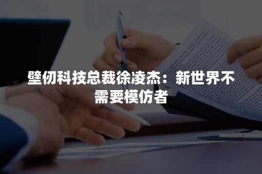 壁仞科技总裁徐凌杰：新世界不需要模仿者